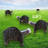 เป็นคนที่ไม่ตัวต้น
