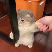 สามหน่อ
