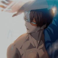 todoroki shoto (d )