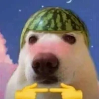 Dogão observador