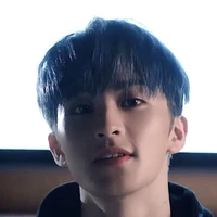 jung mark