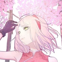 Sakura🌸✨