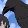 cuervo /de itachi/