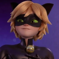 Cat Noir