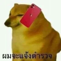 เป็นทุกอย่าง