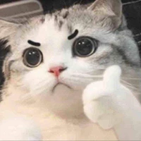 แอดเอง(o´･_･)っ