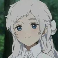 Y/N