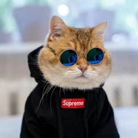 ZainMalik