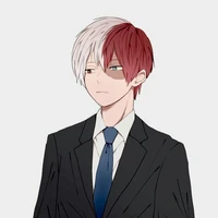 Shoto Todoroki (A.D)
