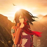 Mikasa