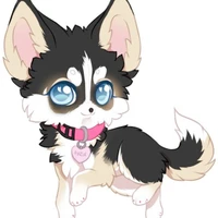 •Ryuka•