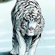 tiger