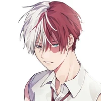 todoroki shoto [ O ]