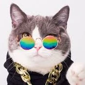 kucing