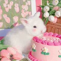 ซันเดย์(ร่างกระต่าย🐰)