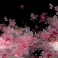 someone