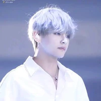 Kim Taehyung( Taetae/V)