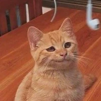 ทุกคน