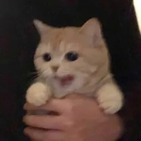 athour