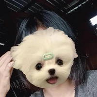 แอดเองๆ