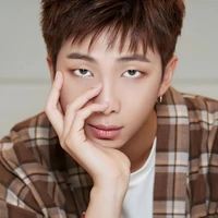 namjoon(rm)