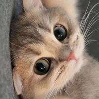 เเอดเองงับบ~