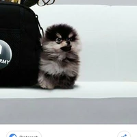 Yeontan