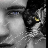 Max/Kitty