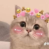 แอดเองนะ