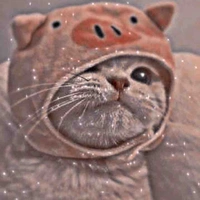 Autora 