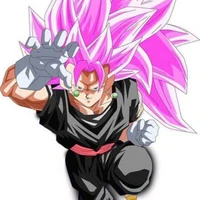 Vegetto Black