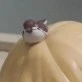 Piutarou