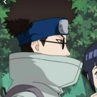 shino o. p