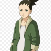 shikadai