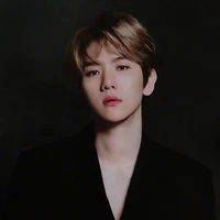 Beakhyun(ML)