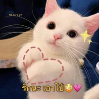 เเอดเองน้าา