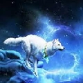 White wolf
