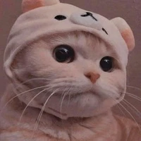 หนูน้อยหมวกขาว