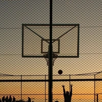 Coach