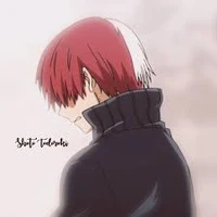 Shoto Todoroki