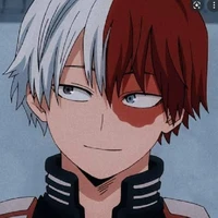 Todoroki shoto *16*