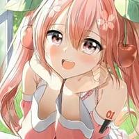 Lili (sistem)