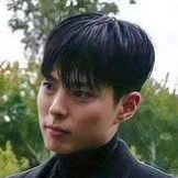 Park Bo Gum (Actor)