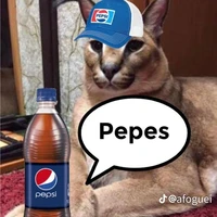 floppa