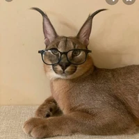 professor floppa