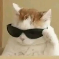 ᴀᴜᴛᴏʀ/ᴀ