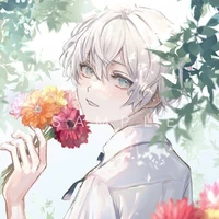 Noah