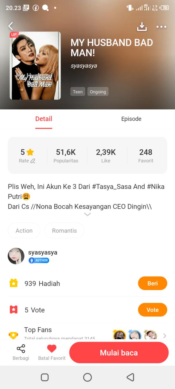 NovelToon