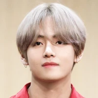 kim / jeon Taehyung