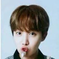 jung hoseok(gamma puro){17}